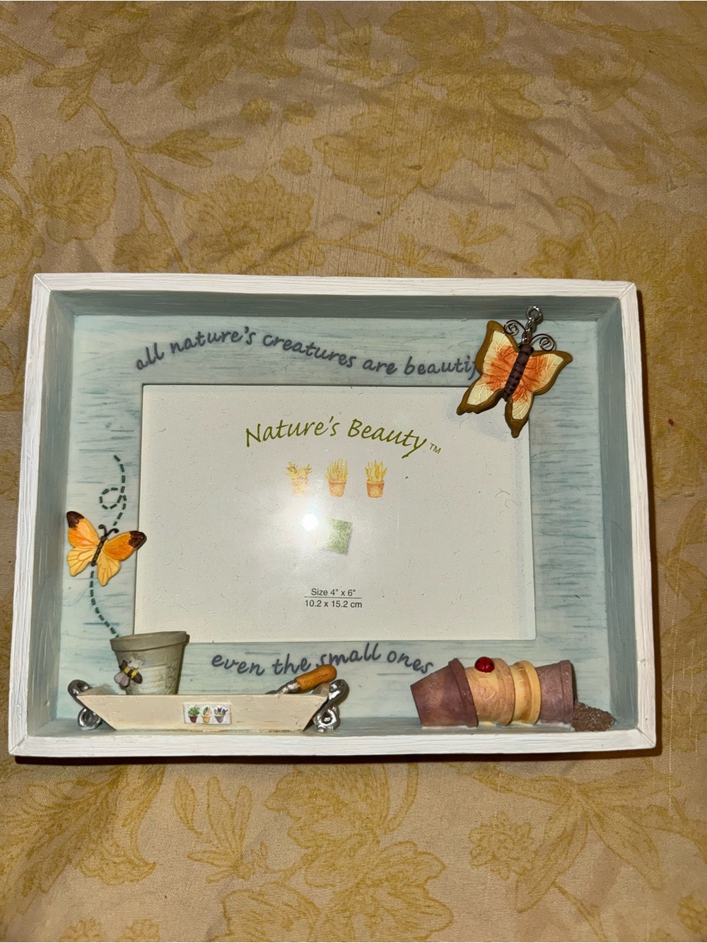 Nature's Beauty Butterfly Wooden Photo Frame - White and Light Blue